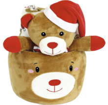 Teddybeer in berenzak met kerstmuts en deken