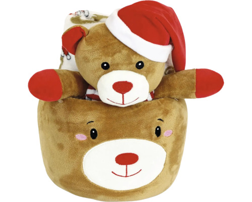 Teddybeer in berenzak met kerstmuts en deken