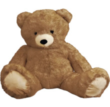 Pluche teddybeer