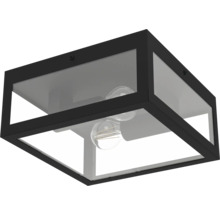 Vierkante plafondlamp met glazen kap en lamp