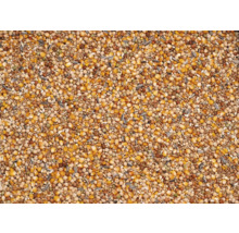 Vogelstrooivoer met diverse zaden en granen.