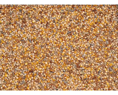 Vogelstrooivoer met diverse zaden en granen.