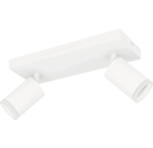 Plafondlamp met twee spots