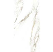 Marmeren tegel met nerf