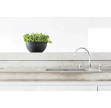 Moderne zwarte kruidenpot van kunststof op een aanrechtblad van beton in een lichte keuken naast een verchroomde kraan.