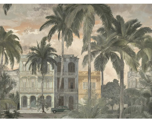 Vliesbehang met een afbeelding van tropische palmbomen voor historische gebouwen en een oldtimer in Havana-stijl.