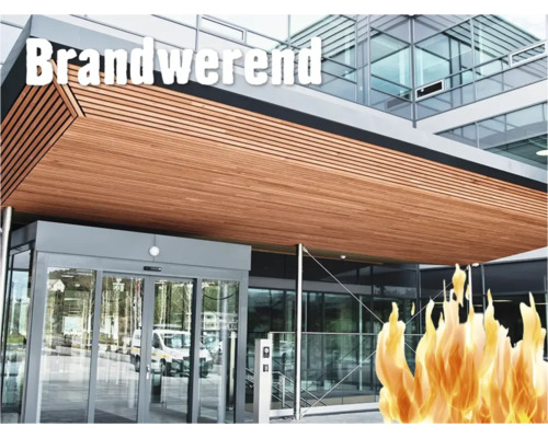 Gebouw met brandwerende houten bekleding