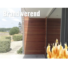 Gevel met brandwerende laag