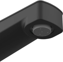 Close-up van een zwarte kraankop met ronde perlator