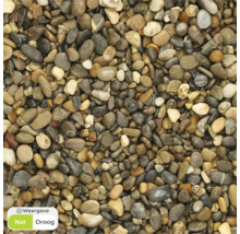 Close-up van siergrind voor de tuin