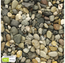 Close-up van siergrind voor tuin- en landschapsarchitectuur.