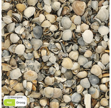 Schelpen als bodembedekker