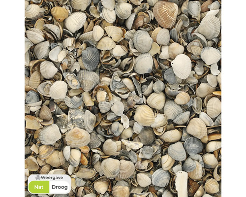 Schelpen als bodembedekker