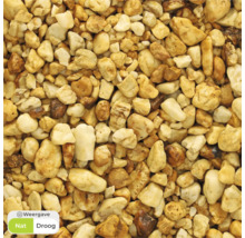 Close-up van gele siergrind