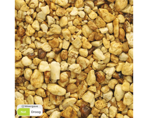 Close-up van gele siergrind