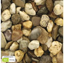 Close-up van siergrind voor tuin- en landschapsarchitectuur