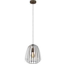 Hanglamp met metalen kooi en gloeilamp
