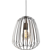 Hanglamp met metalen kooi en gloeilamp