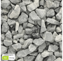 Close-up van siergrind