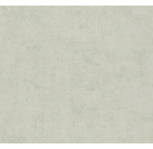Lichtgrijs behang met een subtiele betonlook of pleisterstructuur.