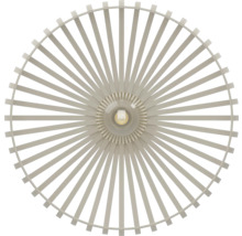 Plafondlamp met lampenkap van spijlen