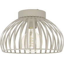 Plafondlamp met metalen frame en gloeilamp