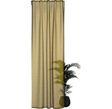 Gordijn met plooiband en kamerplant in pot