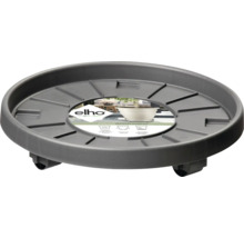 Plantenroller van kunststof met wielen