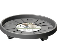 Rolonderzetter voor plantenbakken