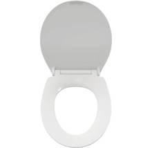 Toiletdeksel van sanitair keramiek