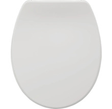 Toiletdeksel van kunststof