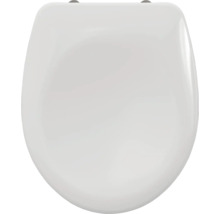 Toiletdeksel van sanitair keramiek