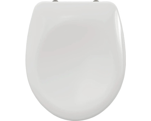 Toiletdeksel van sanitair keramiek