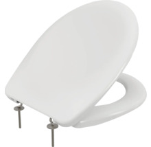 Toiletdeksel van sanitair keramiek met bevestigingsmateriaal