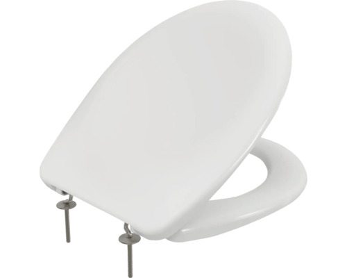 Toiletdeksel van sanitair keramiek met bevestigingsmateriaal