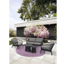 Tuinscene met grijze loungeset op paars tapijt