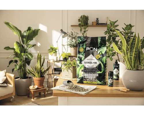 LECHUZA-PON plantensubstraat voor kamerplanten op een tafel met kamerplanten