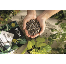 Een handvol Lechuza Pon plantensubstraat boven een verpakking en planten