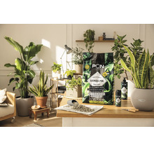 LECHUZA-PON plantensubstraat voor kamerplanten op een tafel met kamerplanten