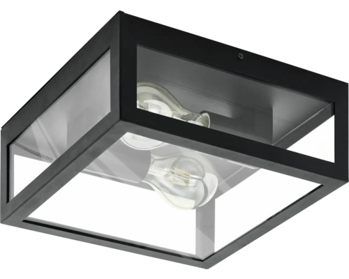 Zwarte plafondlamp met helder glas en twee lampen