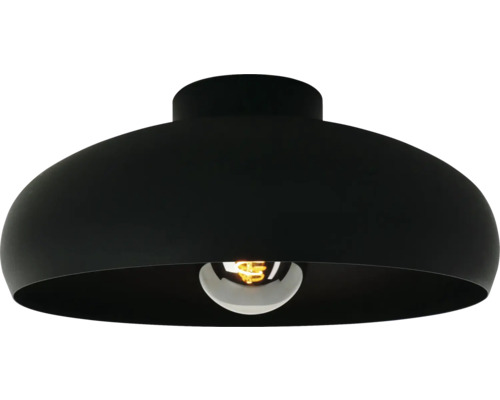 Zwarte plafondlamp met zichtbare lichtbron