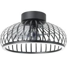 Plafondventilator met licht en kooiconstructie