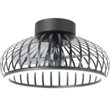 Plafondventilator met verlichting en kooiconstructie