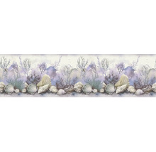 Behangrand met diverse schelpen en koraal in aquarelstijl.