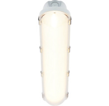 Waterdichte lamp met heldere behuizing