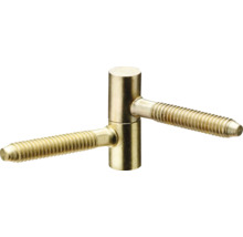 Inschroefbare scharnier voor deur