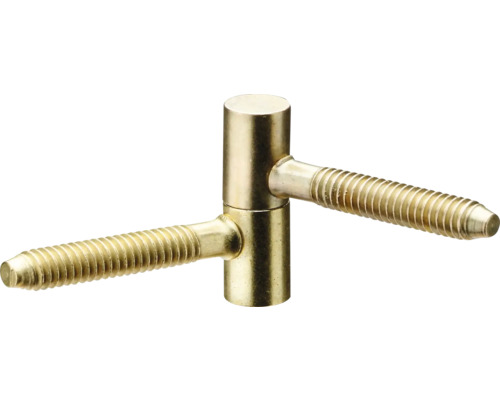 Inschroefbare scharnier voor deur