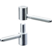 Twee inschroefbare scharnieren van metaal voor houten deuren en poorten