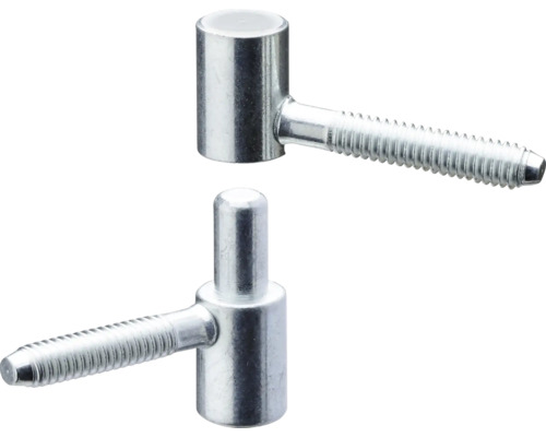 Twee inschroefbare scharnieren van metaal voor houten deuren en poorten