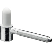 Deurhengs met bout en kunststof dop